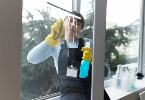 Nettoyage de vitres intérieures et extérieures à Biesles